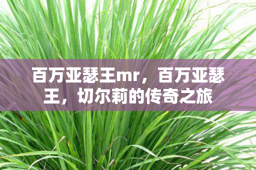 百万亚瑟王mr,百万亚瑟王,切尔莉的传奇之旅 百万亚瑟王mr,百万亚瑟王,切尔莉的传奇之旅