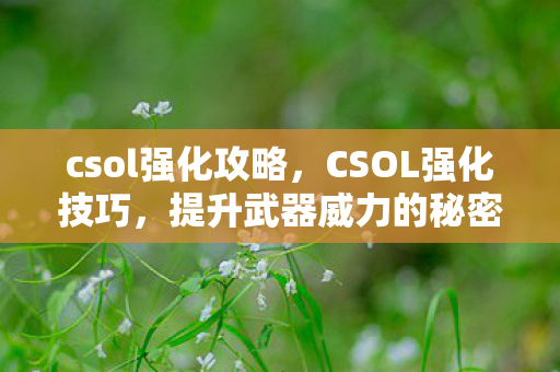 csol强化攻略,CSOL强化技巧,提升武器威力的秘密 csol强化攻略,CSOL强化技巧,提升武器威力的秘密