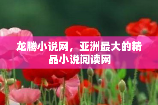 龙腾小说网,亚洲最大的精品小说阅读网 龙腾小说网,亚洲最大的精品小说阅读网