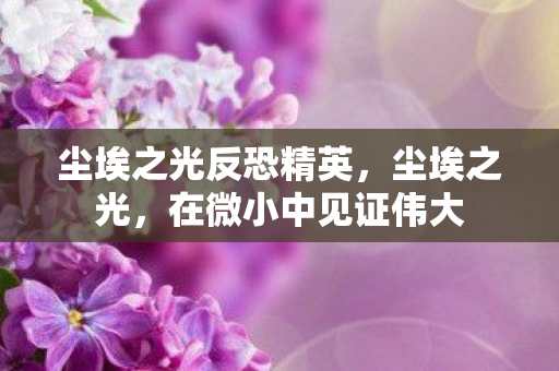 尘埃之光反恐精英,尘埃之光,在微小中见证伟大 尘埃之光反恐精英,尘埃之光,在微小中见证伟大