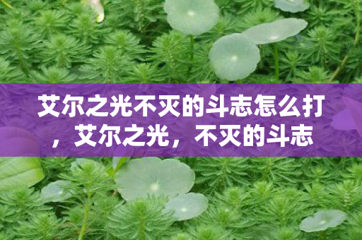 艾尔之光不灭的斗志怎么打,艾尔之光,不灭的斗志 艾尔之光不灭的斗志怎么打,艾尔之光,不灭的斗志