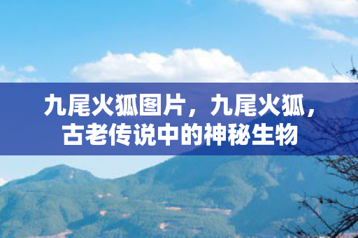 九尾火狐图片,九尾火狐,古老传说中的神秘生物 九尾火狐图片,九尾火狐,古老传说中的神秘生物