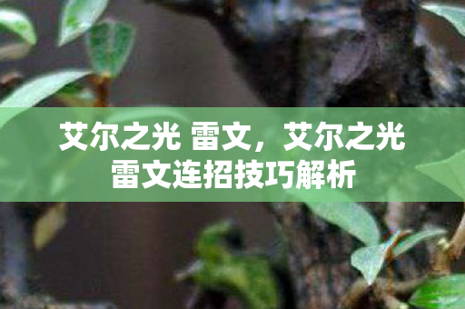 艾尔之光 雷文,艾尔之光雷文连招技巧解析 艾尔之光 雷文,艾尔之光雷文连招技巧解析