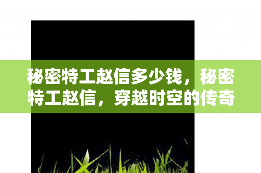 秘密特工赵信多少钱,秘密特工赵信,穿越时空的传奇间谍 秘密特工赵信多少钱,秘密特工赵信,穿越时空的传奇间谍