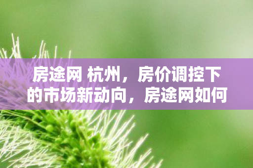 房途网 杭州,房价调控下的市场新动向,房途网如何助力购房者精准置业? 房途网 杭州,房价调控下的市场新动向,房途网如何助力购房者精准置业?