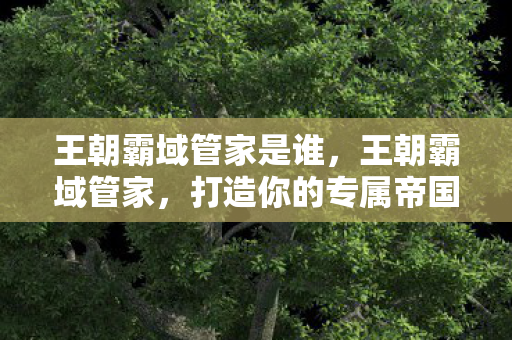 王朝霸域管家是谁，王朝霸域管家，打造你的专属帝国