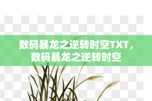数码暴龙之逆转时空TXT,数码暴龙之逆转时空 数码暴龙之逆转时空TXT,数码暴龙之逆转时空