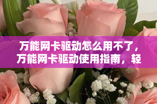 万能网卡驱动怎么用不了,万能网卡驱动使用指南,轻松解决网络问题 万能网卡驱动怎么用不了,万能网卡驱动使用指南,轻松解决网络问题
