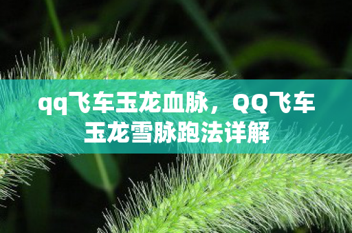 qq飞车玉龙血脉，QQ飞车玉龙雪脉跑法详解