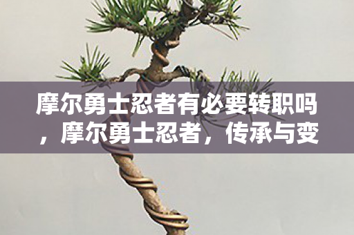 摩尔勇士忍者有必要转职吗,摩尔勇士忍者,传承与变革的忍者之道 摩尔勇士忍者有必要转职吗,摩尔勇士忍者,传承与变革的忍者之道