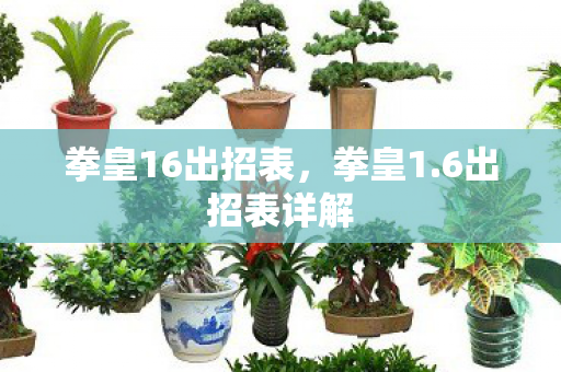 拳皇16出招表,拳皇1.6出招表详解 拳皇16出招表,拳皇1.6出招表详解