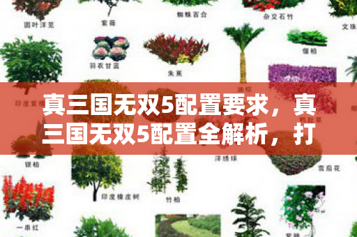 真三国无双5配置要求,真三国无双5配置全解析,打造流畅游戏体验 真三国无双5配置要求,真三国无双5配置全解析,打造流畅游戏体验