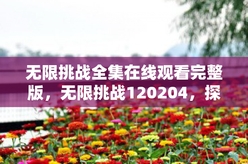 无限挑战全集在线观看完整版,无限挑战120204,探索未知,超越自我 无限挑战全集在线观看完整版,无限挑战120204,探索未知,超越自我