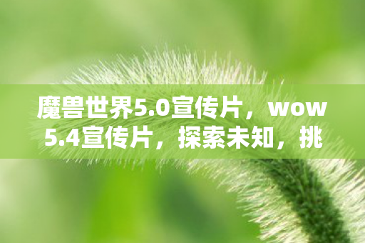 魔兽世界5.0宣传片，wow5.4宣传片，探索未知，挑战极限