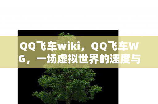 QQ飞车wiki,QQ飞车WG,一场虚拟世界的速度与激情 QQ飞车wiki,QQ飞车WG,一场虚拟世界的速度与激情