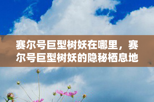 赛尔号巨型树妖在哪里,赛尔号巨型树妖的隐秘栖息地 赛尔号巨型树妖在哪里,赛尔号巨型树妖的隐秘栖息地
