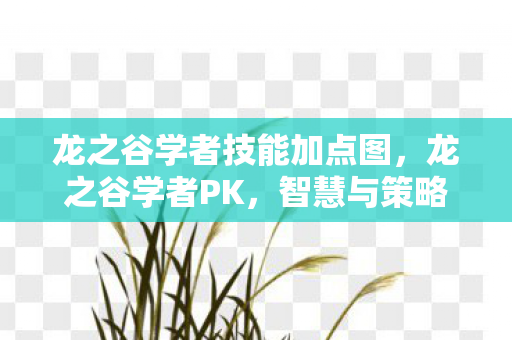 龙之谷学者技能加点图，龙之谷学者PK，智慧与策略的碰撞