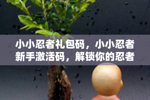 小小忍者礼包码,小小忍者新手激活码,解锁你的忍者之旅 小小忍者礼包码,小小忍者新手激活码,解锁你的忍者之旅
