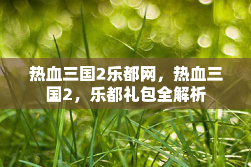 热血三国2乐都网，热血三国2，乐都礼包全解析