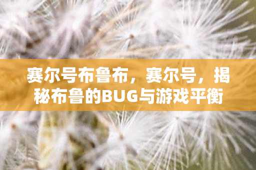 赛尔号布鲁布，赛尔号，揭秘布鲁的BUG与游戏平衡