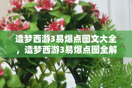 造梦西游3易爆点图文大全，造梦西游3易爆点图全解析，解锁隐藏宝藏的秘诀