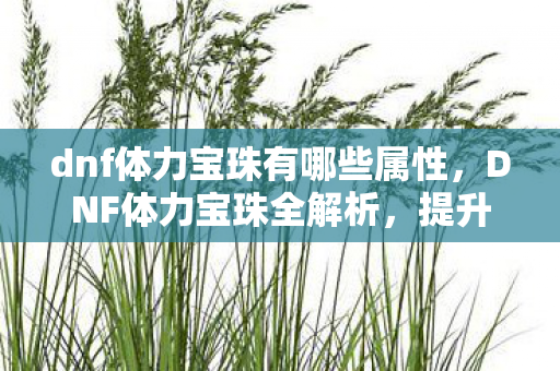 dnf体力宝珠有哪些属性,DNF体力宝珠全解析,提升角色战斗力的必备神器 dnf体力宝珠有哪些属性,DNF体力宝珠全解析,提升角色战斗力的必备神器