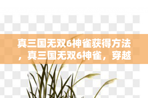 真三国无双6神雀获得方法，真三国无双6神雀，穿越时空的传奇战将