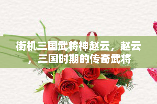 街机三国武将神赵云，赵云，三国时期的传奇武将