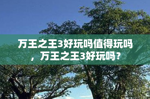 万王之王3好玩吗值得玩吗，万王之王3好玩吗？