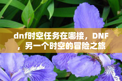 dnf时空任务在哪接，DNF，另一个时空的冒险之旅