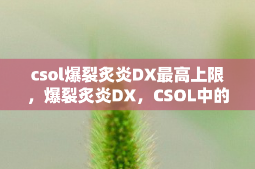 csol爆裂炙炎DX最高上限,爆裂炙炎DX,CSOL中的烈焰风暴 csol爆裂炙炎DX最高上限,爆裂炙炎DX,CSOL中的烈焰风暴