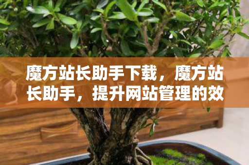 魔方站长助手下载，魔方站长助手，提升网站管理的效率与效果