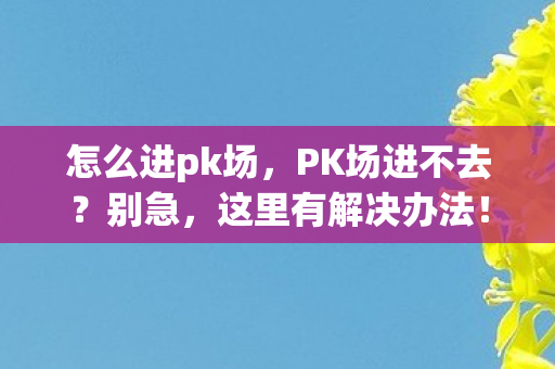 怎么进pk场，PK场进不去？别急，这里有解决办法！