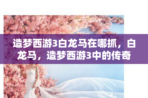 造梦西游3白龙马在哪抓，白龙马，造梦西游3中的传奇坐骑