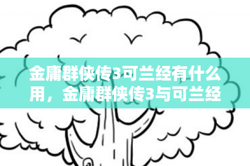 金庸群侠传3可兰经有什么用，金庸群侠传3与可兰经的跨界对话，武侠与信仰的奇妙融合