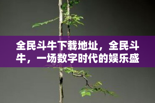全民斗牛下载地址,全民斗牛,一场数字时代的娱乐盛宴 全民斗牛下载地址,全民斗牛,一场数字时代的娱乐盛宴