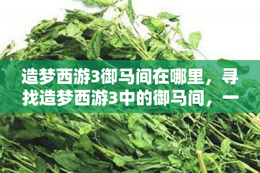 造梦西游3御马间在哪里，寻找造梦西游3中的御马间，一场穿越时空的冒险