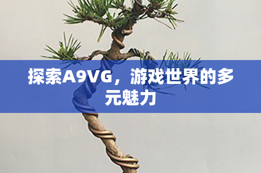 探索A9VG,游戏世界的多元魅力 探索A9VG,游戏世界的多元魅力