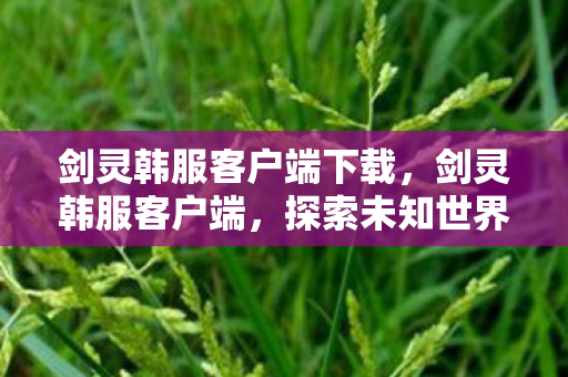 剑灵韩服客户端下载,剑灵韩服客户端,探索未知世界的奇幻之旅 剑灵韩服客户端下载,剑灵韩服客户端,探索未知世界的奇幻之旅