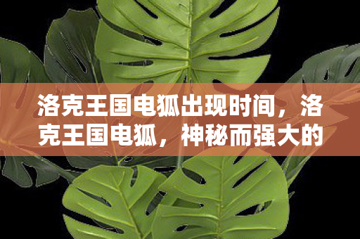 洛克王国电狐出现时间，洛克王国电狐，神秘而强大的存在