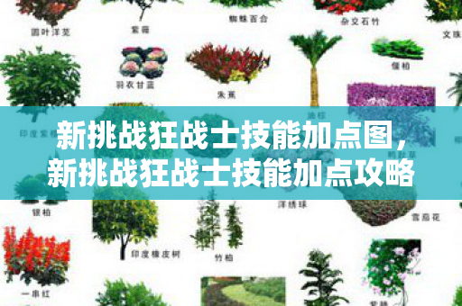 新挑战狂战士技能加点图，新挑战狂战士技能加点攻略，打造无敌战斗力的关键