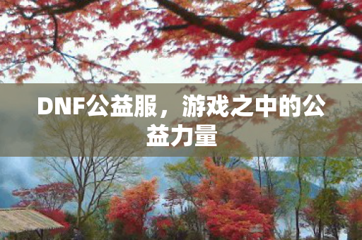 DNF公益服,游戏之中的公益力量 DNF公益服,游戏之中的公益力量