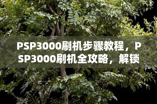 PSP3000刷机步骤教程，PSP3000刷机全攻略，解锁游戏新世界的钥匙