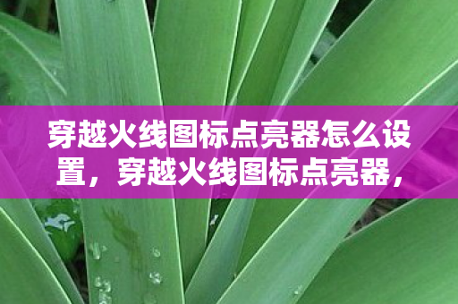 穿越火线图标点亮器怎么设置，穿越火线图标点亮器，点亮你的游戏激情