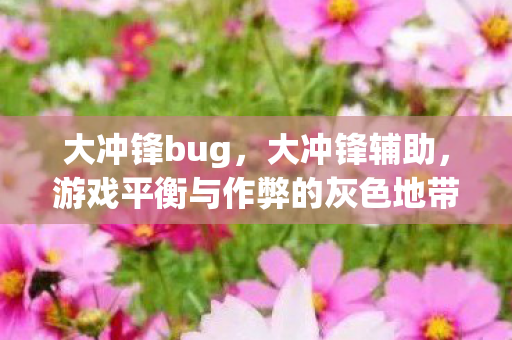 大冲锋bug，大冲锋辅助，游戏平衡与作弊的灰色地带