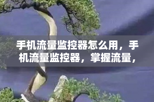 手机流量监控器怎么用，手机流量监控器，掌握流量，轻松管理生活