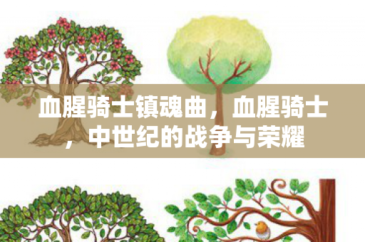 血腥骑士镇魂曲，血腥骑士，中世纪的战争与荣耀