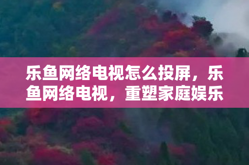 乐鱼网络电视怎么投屏，乐鱼网络电视，重塑家庭娱乐新体验