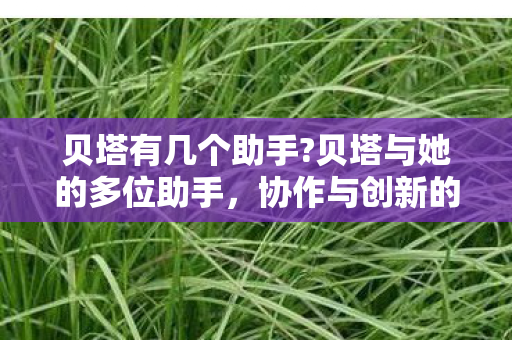 贝塔有几个助手?贝塔与她的多位助手,协作与创新的奇妙组合 贝塔有几个助手?贝塔与她的多位助手,协作与创新的奇妙组合