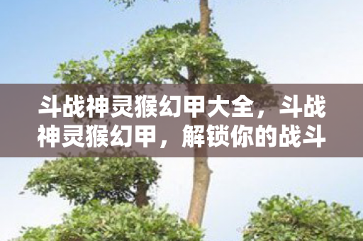 斗战神灵猴幻甲大全，斗战神灵猴幻甲，解锁你的战斗潜能